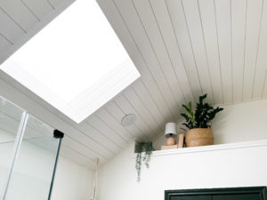 White Ceiling Shiplap view with skylight and plants on ledge in our green bathroom