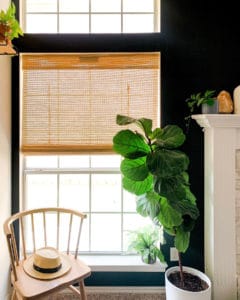 Black Living Room Wall