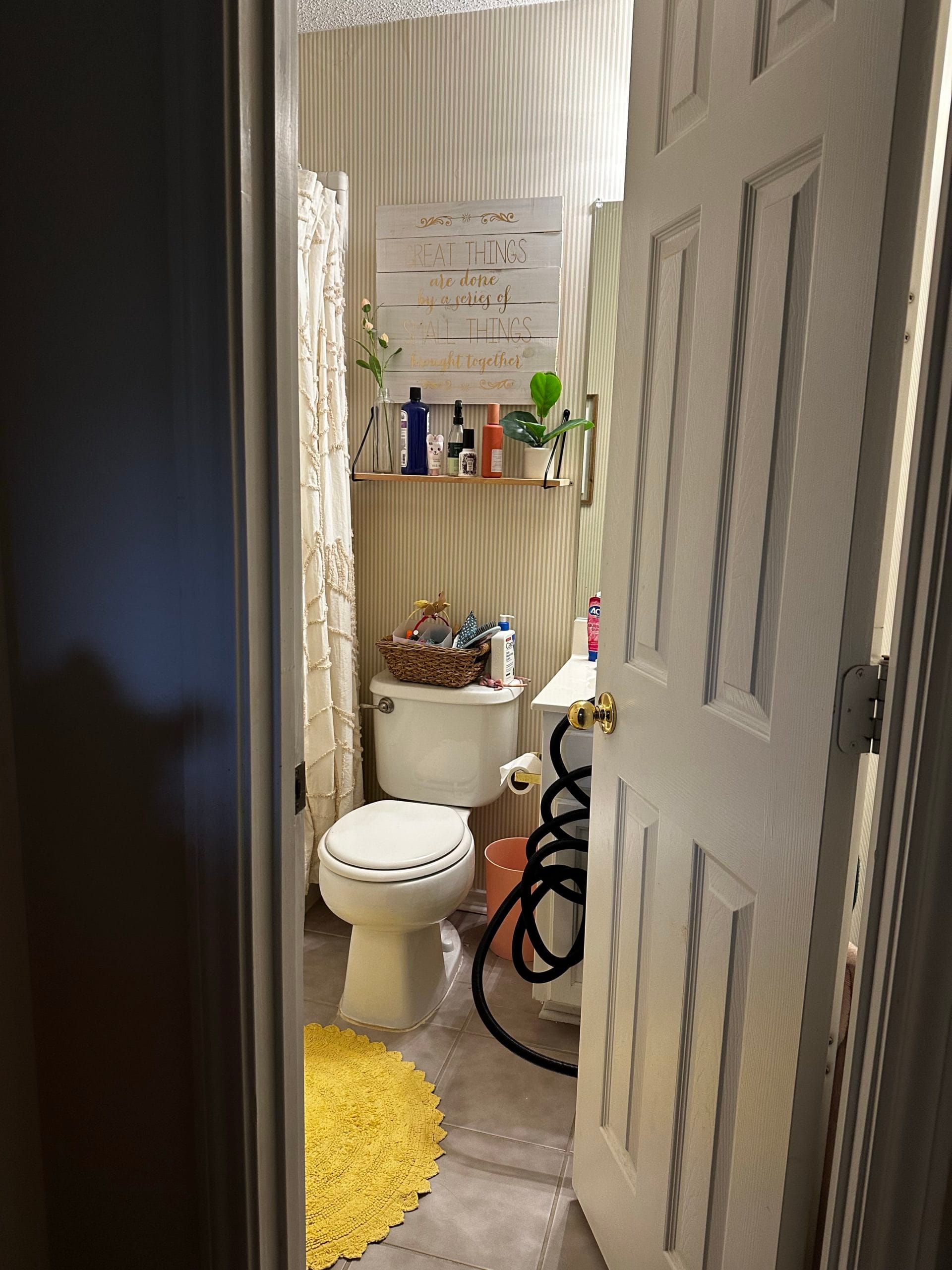 Pink Bathroom DIY Renovation Reveal | DIY Project