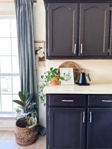 kitchen countertop with brown cabinets and tan countertop. Electric kettle and plant sit on the counter.