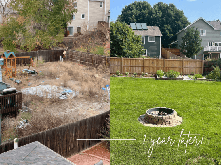 Image on left is a backyard that looks abandoned. Image on right is the same backyard with green grass and a firepite