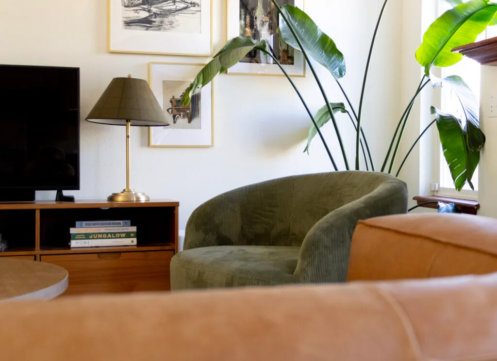 green round accent chair with large plant behind it