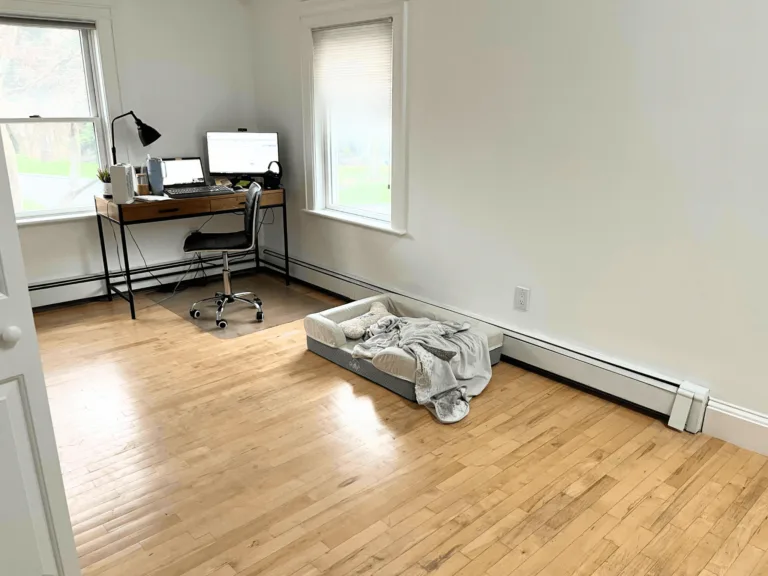 empty home office