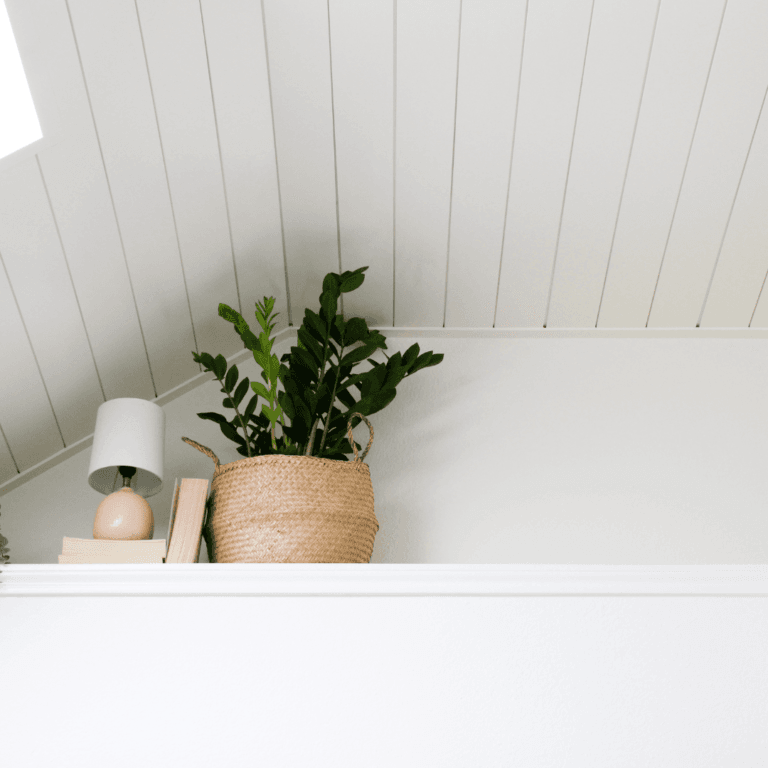 White shiplap ceiling with plan