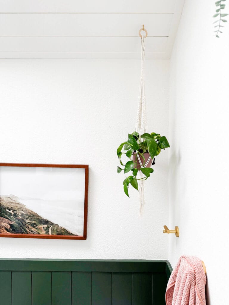 White bathroom with green shiplap and hanging plant